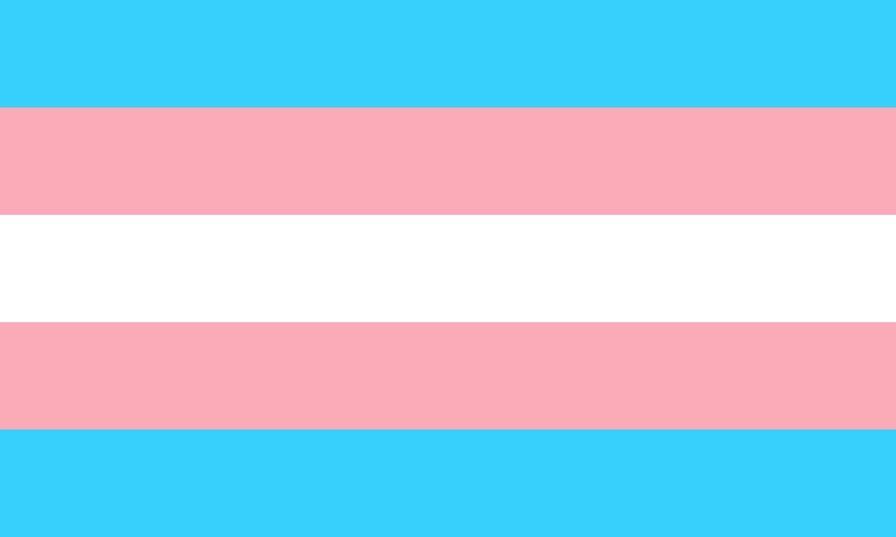 trans, transgender, flag-1792756.jpg