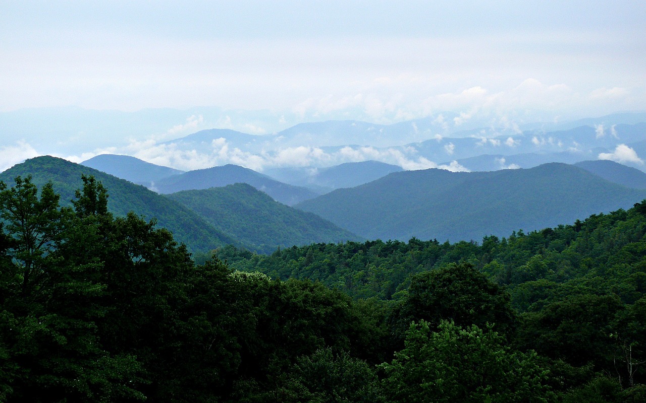 The Climate Disobedience Center Is Going South (Literally)!