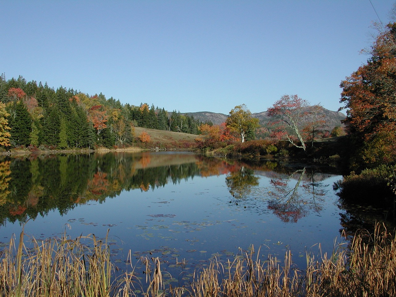 new england, water, reflection-248442.jpg